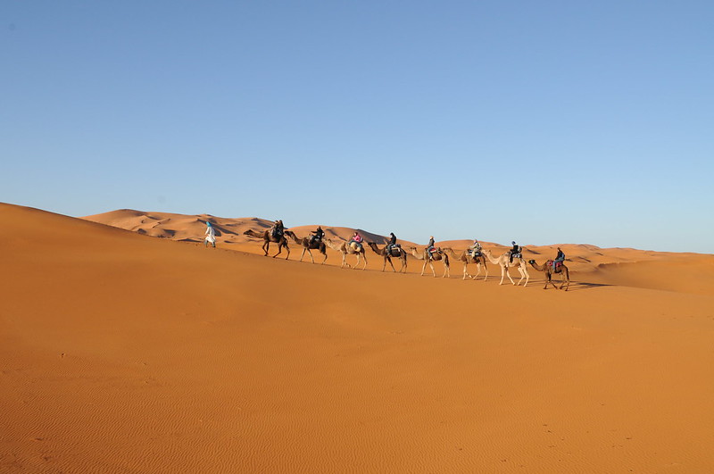 Camel Trekking Merzouga